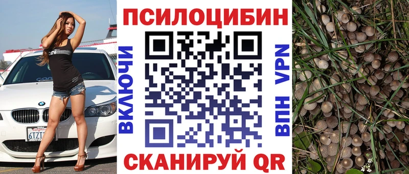 Галлюциногенные грибы MAGIC MUSHROOMS  Зверево 